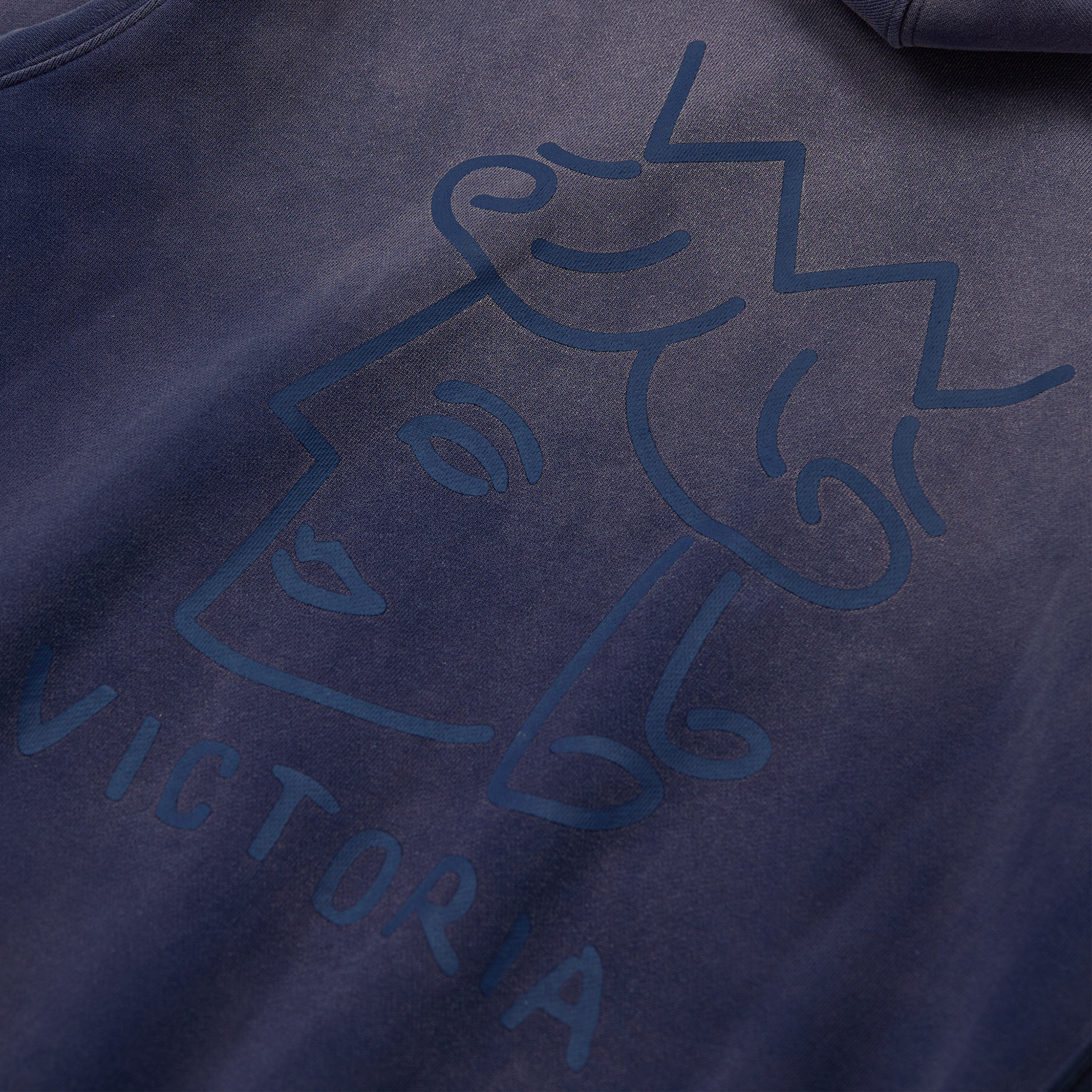 Image of SF QH HOODED SWEATSHIRT